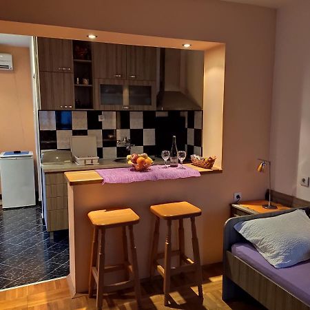 Apartman Ristic Niska Banja Exterior photo