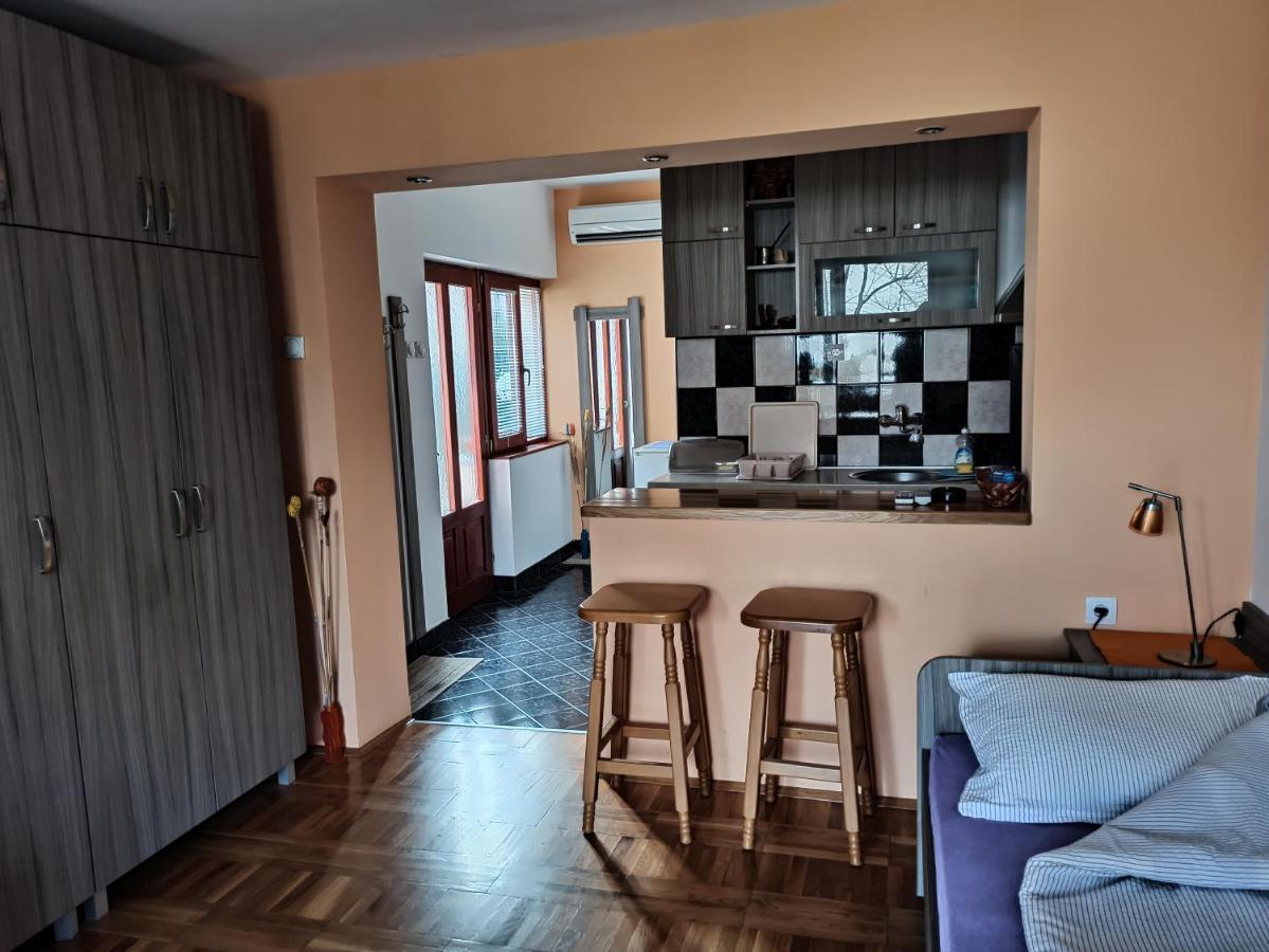 Apartman Ristic Niska Banja Exterior photo